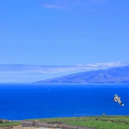 Cap Ferret, Garden, Private Pool, Sea Views, Costa Adeje Costa Adeje (Tenerife)